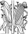 Lamina para colorear Dibujos de Verduras.